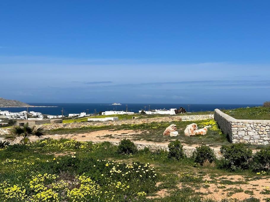 Aretousa Residence In Naoussa, Paros Exteriör bild