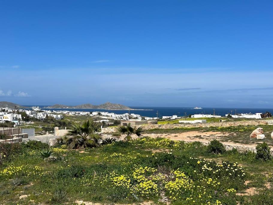 Aretousa Residence In Naoussa, Paros Exteriör bild
