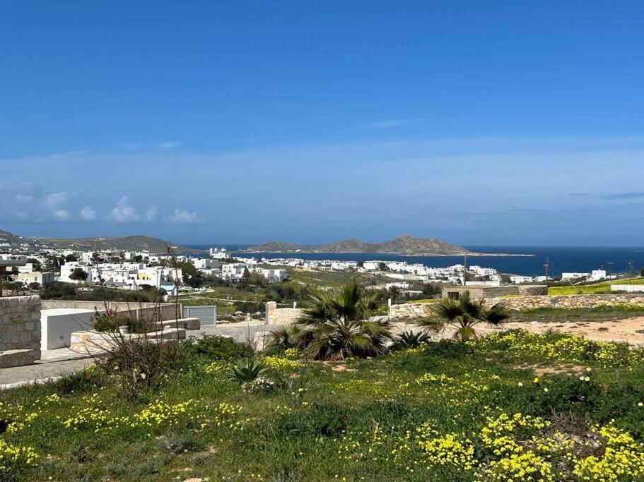 Aretousa Residence In Naoussa, Paros Exteriör bild